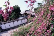萩原寺